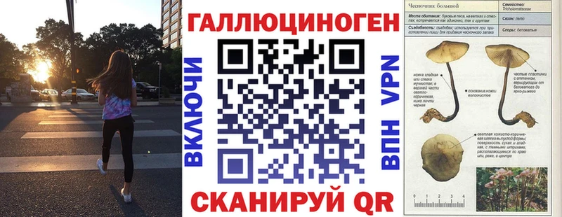 Купить Мураши Галлюциногенные грибы Magic Shrooms